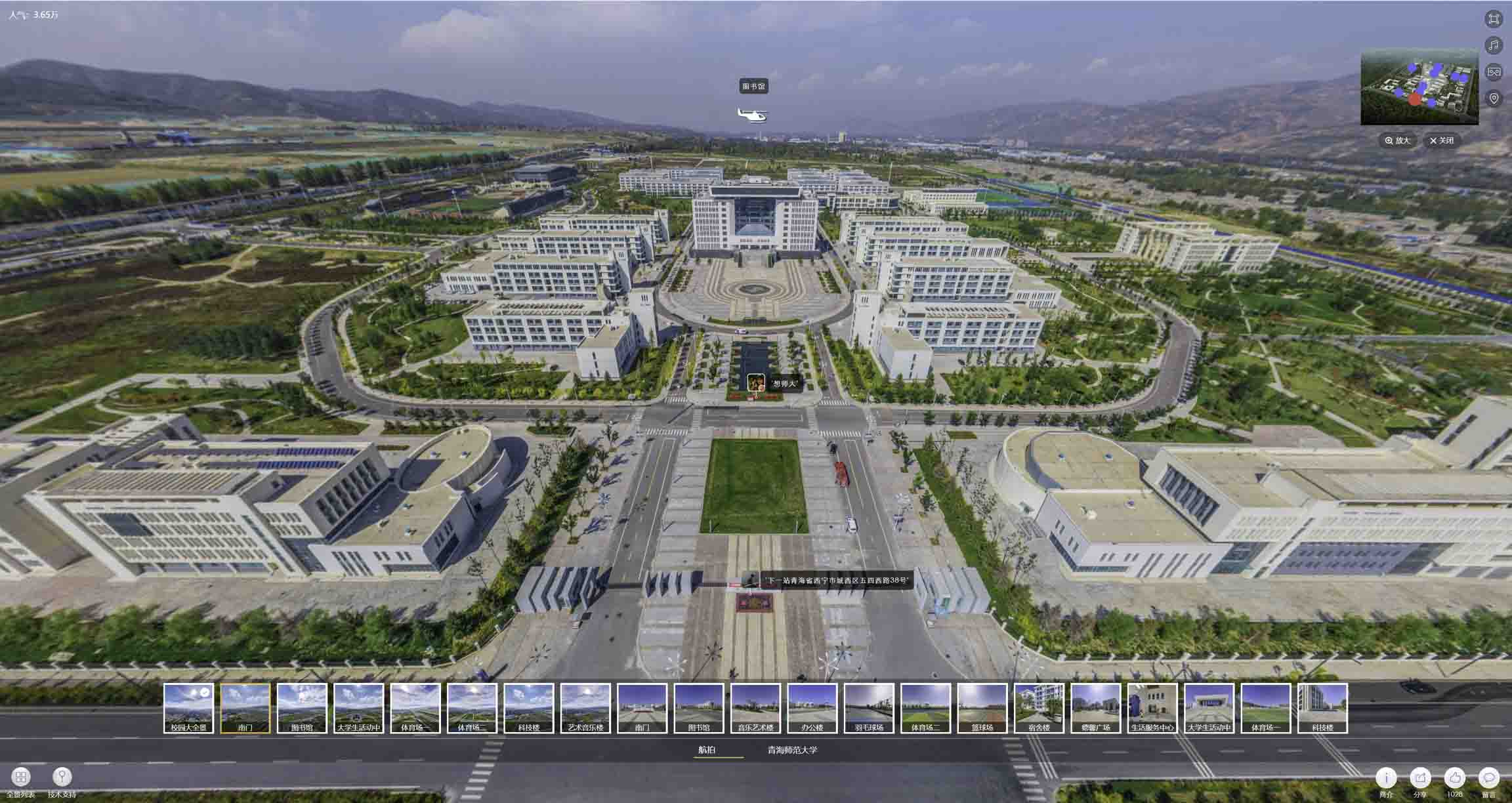 定结油菜花-惊艳半生的花海仙境